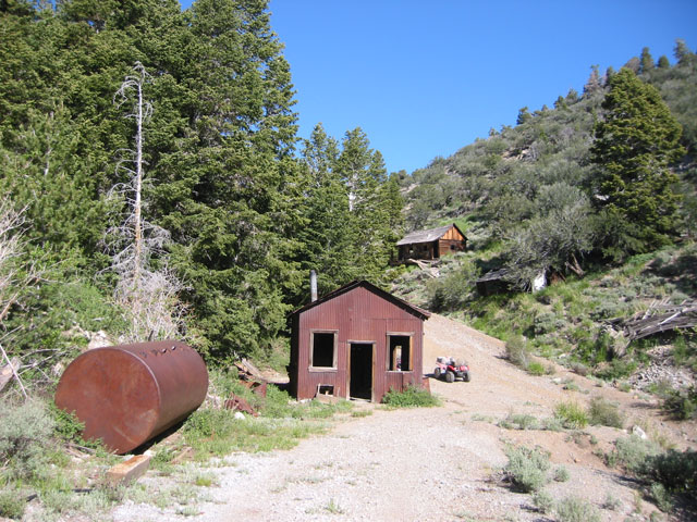 ghost towns portrait